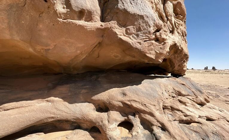 exploring themeshgame s features