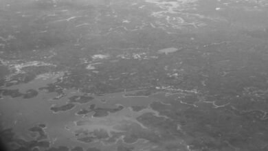 mobile call patterns analysis