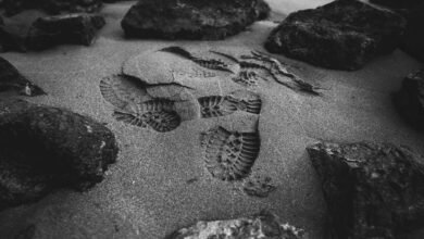 analyze caller activity records