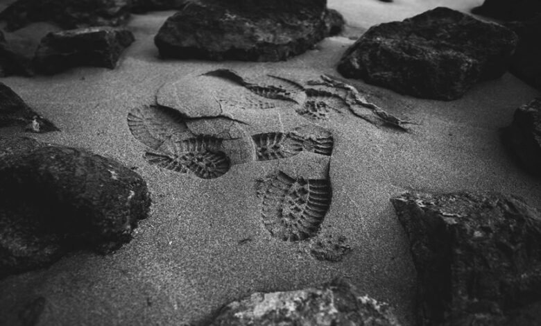 analyze caller activity records