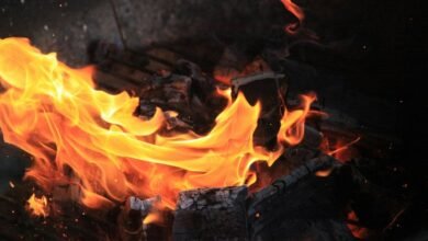 caller details search hotline