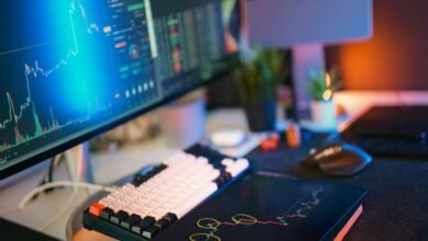 fraud detection identity tool