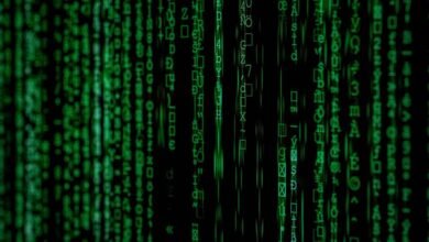 phone number identification request