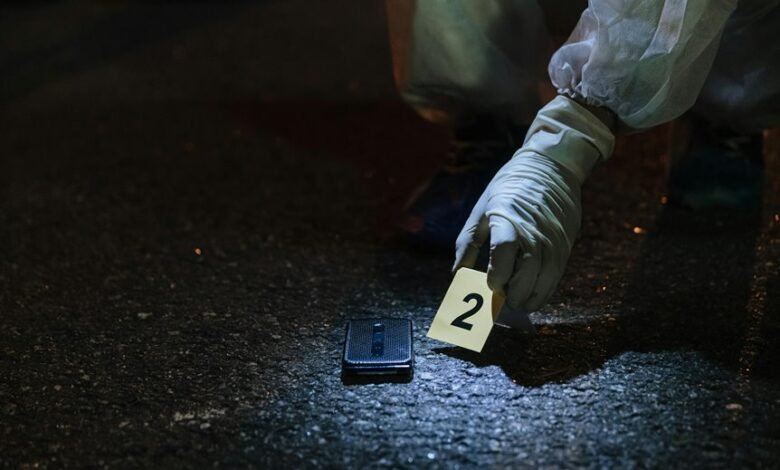 phone number lookup request