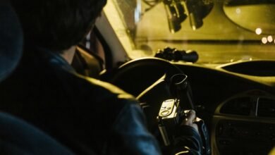 record lookup investigation portal