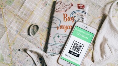 verify scam protection guide