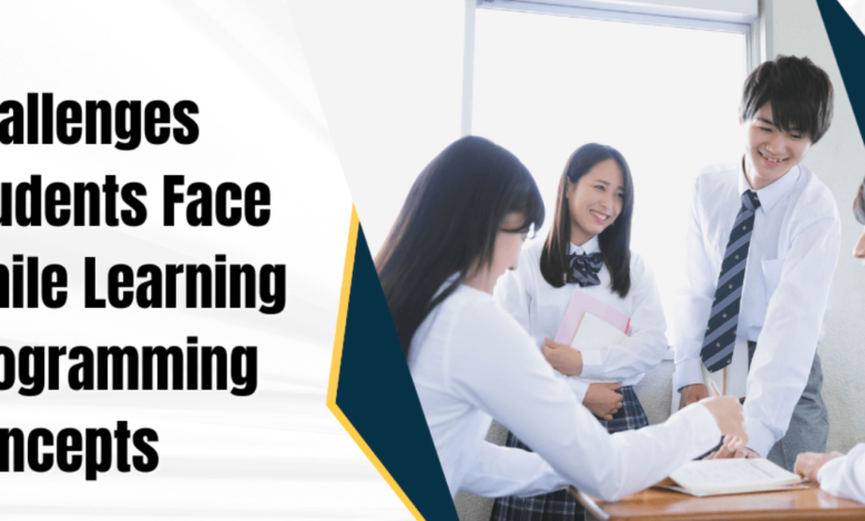 Challenges Students Face While Learning Programming Concepts